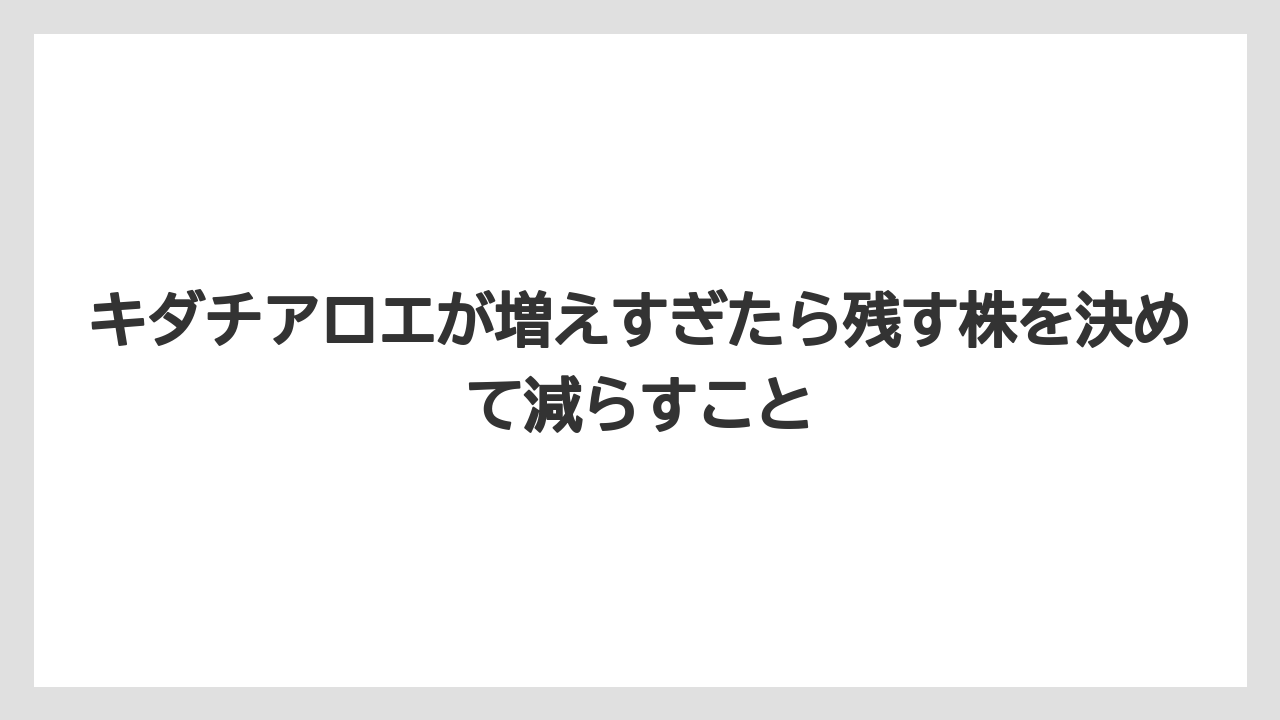 【栽培】【農園】【農業】キダチアロエが増えすぎたら残す株を決めて減らすこと