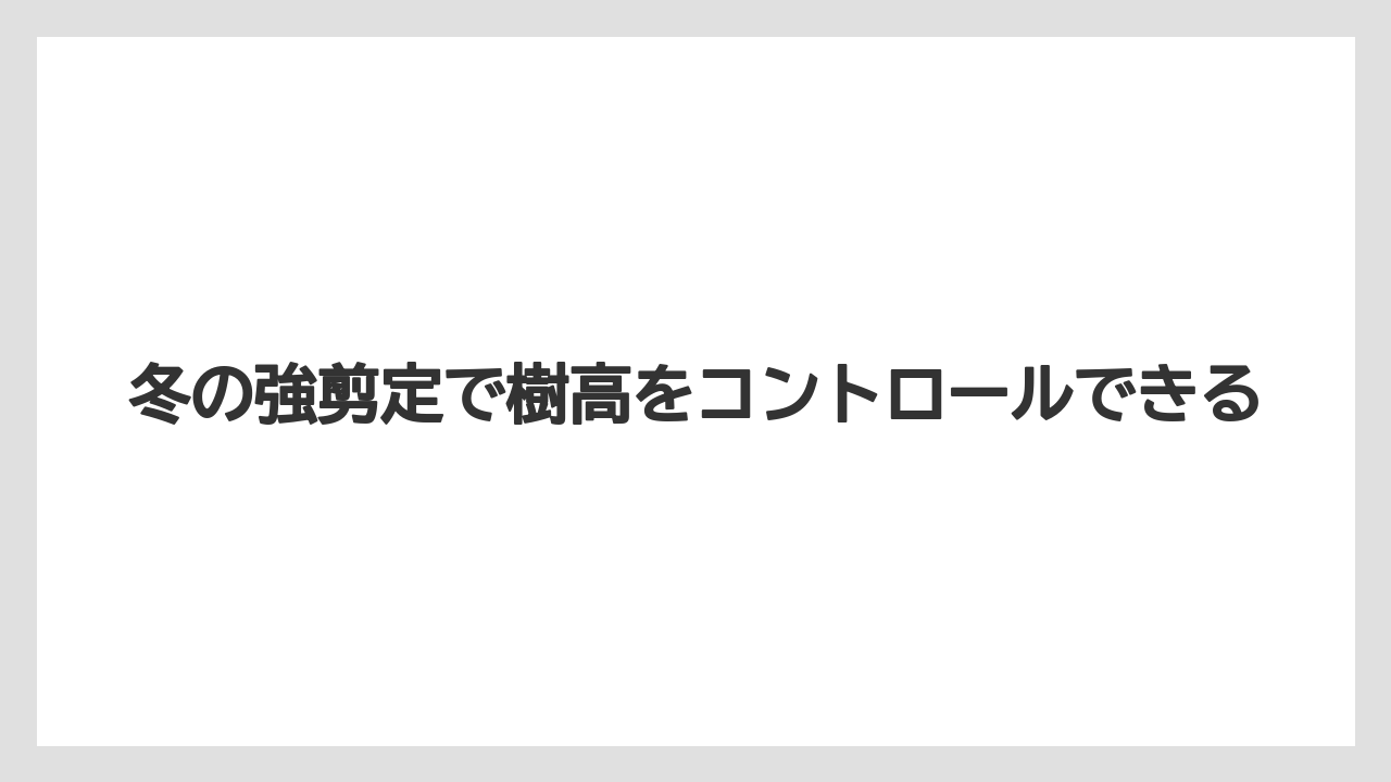 【ニンジン】【庭】【後悔】【栽培】冬の強剪定で樹高をコントロールできる