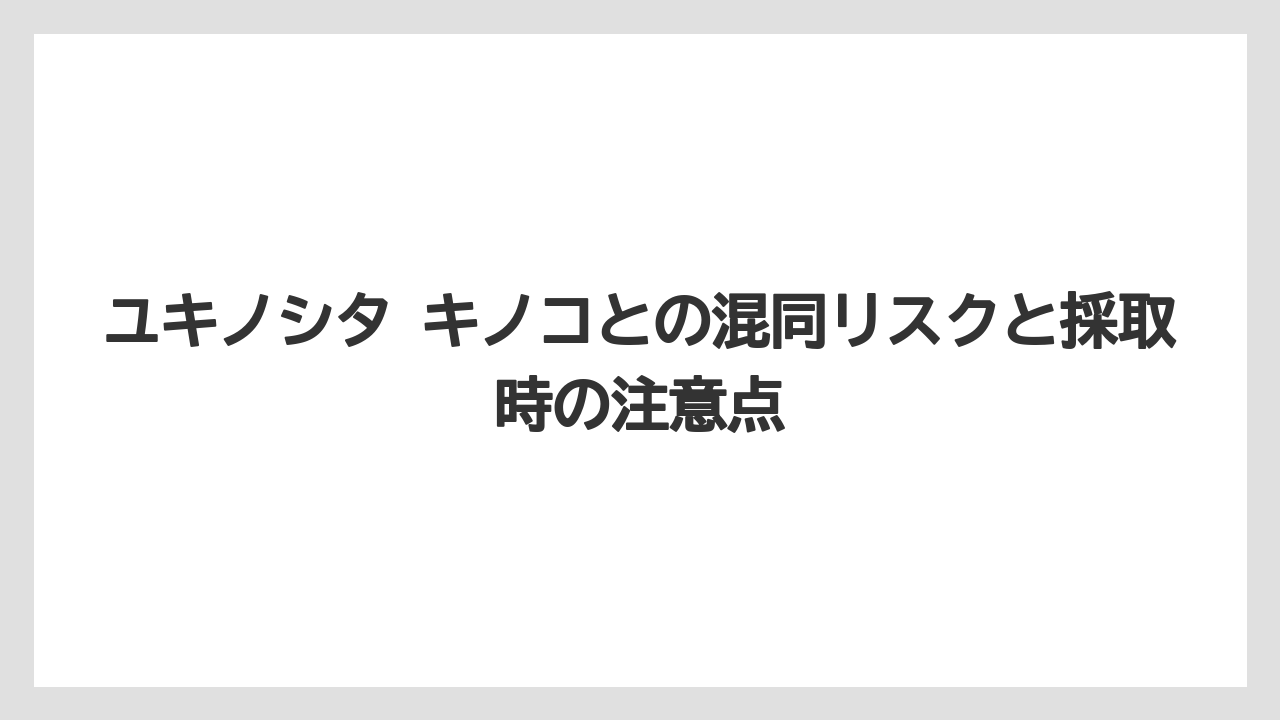 【栽培】【農園】【農業】ユキノシタ キノコとの混同リスクと採取時の注意点