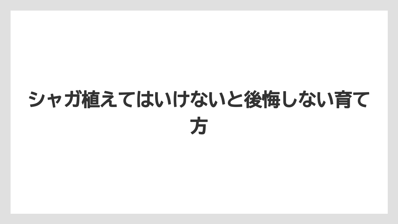 【ミント】【栽培】【猫】日陰で育つ強さが庭ではメリットにもデメリットにもなる