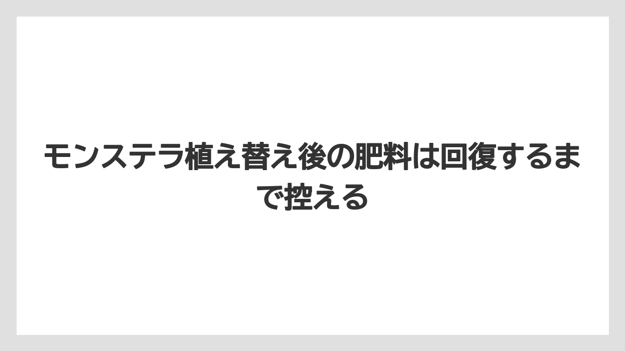 【モンステラ】【栽培】【農業】モンステラ植え替え後の肥料は回復するまで控える