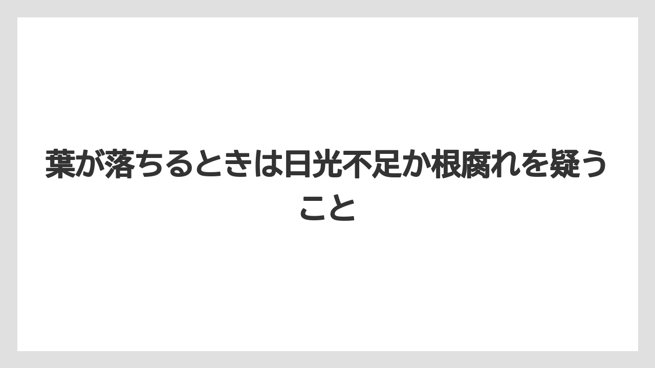 【栽培】【農園】【農業】葉が落ちるときは日光不足か根腐れを疑うこと