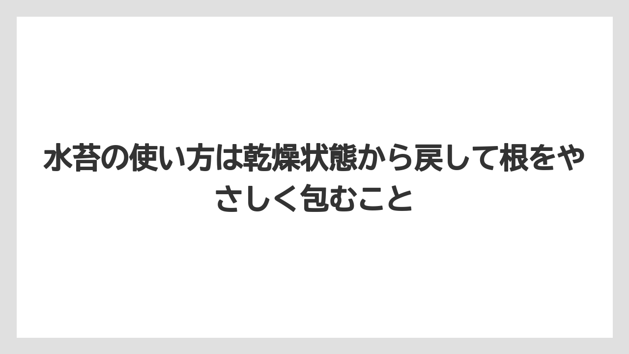 【栽培】【胡蝶蘭】【農業】水苔の使い方は乾燥状態から戻して根をやさしく包むこと