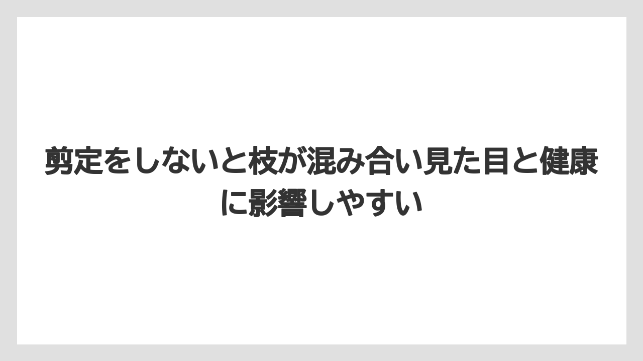 【栽培】【農園】【農業】剪定をしないと枝が混み合い見た目と健康に影響しやすい