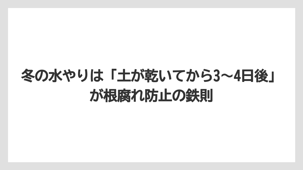 【剪定】【栽培】【越し】冬の水やりは「土が乾いてから3〜4日後」が根腐れ防止の鉄則
