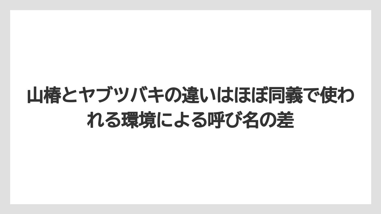 【栽培】【農園】【農業】山椿とヤブツバキの違いはほぼ同義で使われる環境による呼び名の差