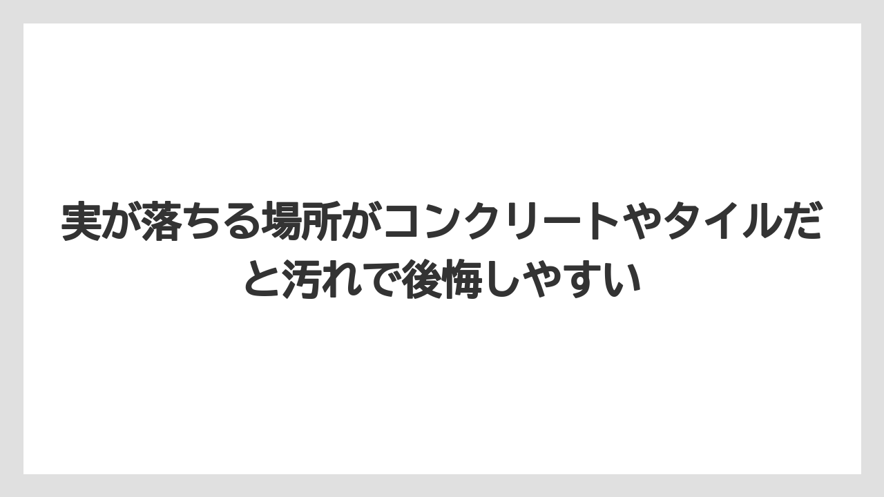 【庭】【後悔】【木】【栽培】実が落ちる場所がコンクリートやタイルだと汚れで後悔しやすい