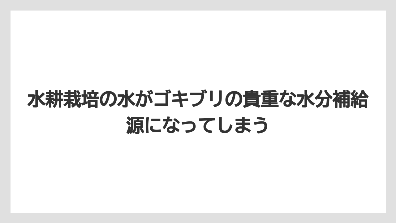 【栽培】【豆苗】【農業】水耕栽培の水がゴキブリの貴重な水分補給源になってしまう