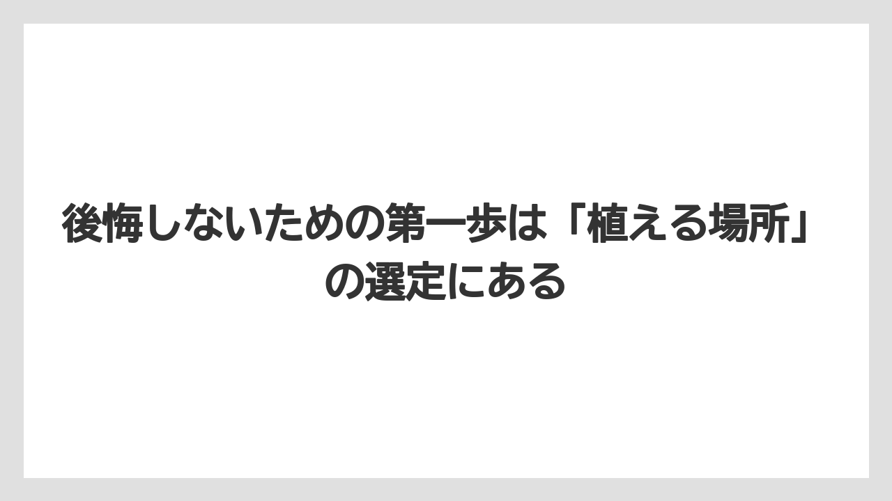 【オリーブ】【栽培】【農業】後悔しないための第一歩は「植える場所」の選定にある