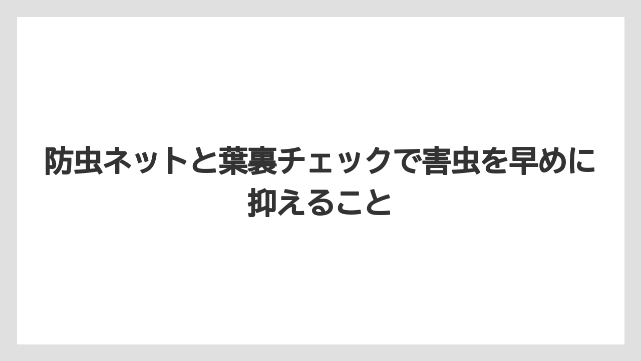 【栽培】【農園】【農業】防虫ネットと葉裏チェックで害虫を早めに抑えること