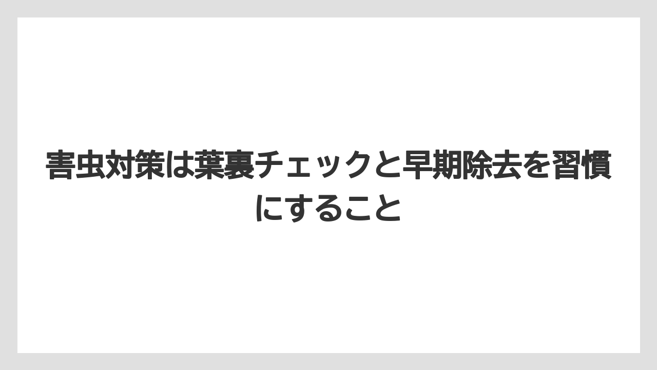 【ミント】【栽培】【農業】害虫対策は葉裏チェックと早期除去を習慣にすること