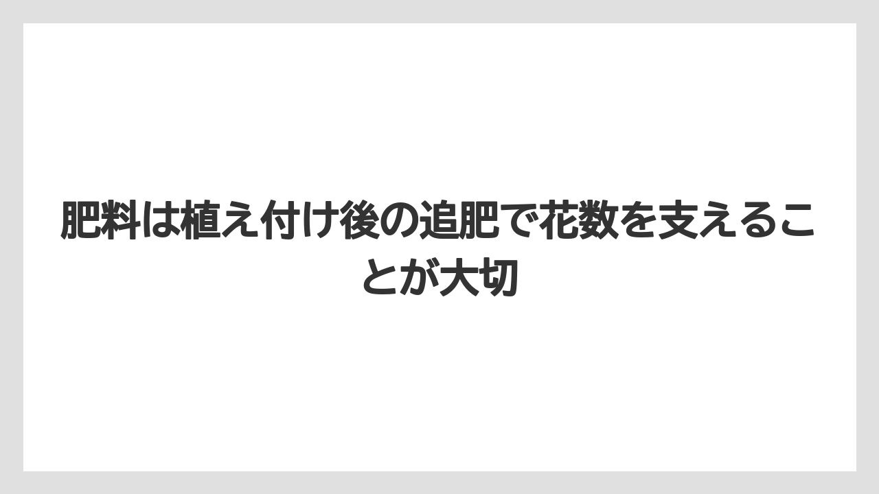 【栽培】【農園】【農業】肥料は植え付け後の追肥で花数を支えることが大切