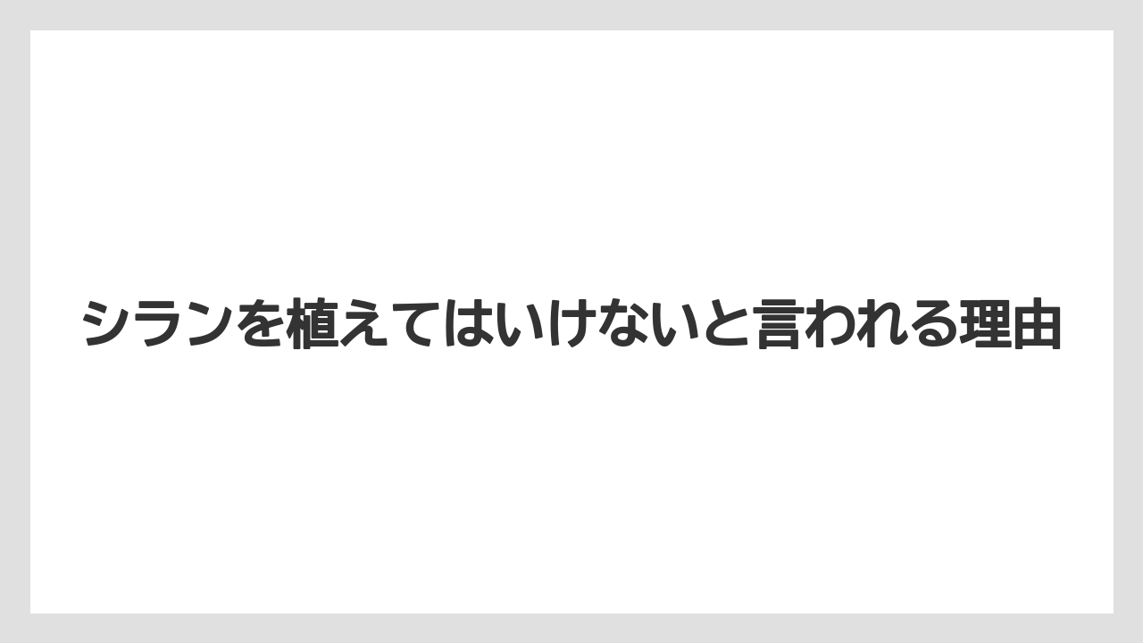 シランを植えてはいけないと言われる理由