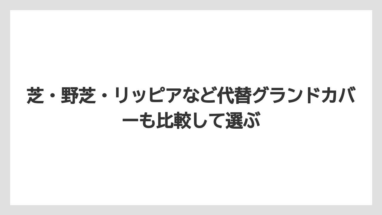 芝・野芝・リッピアなど代替グランドカバーも比較して選ぶ