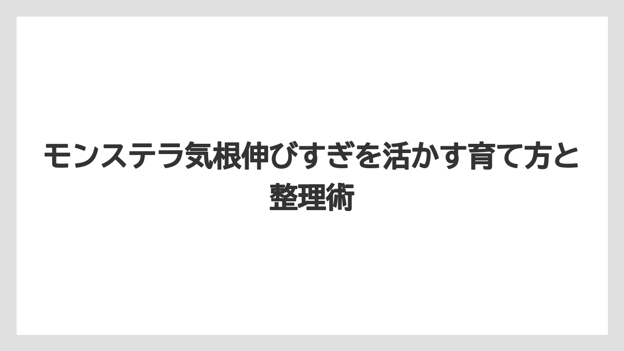 【モンステラ】【栽培】【農業】鉢底から出る根は気根ではなく根詰まりのサインになりやすい