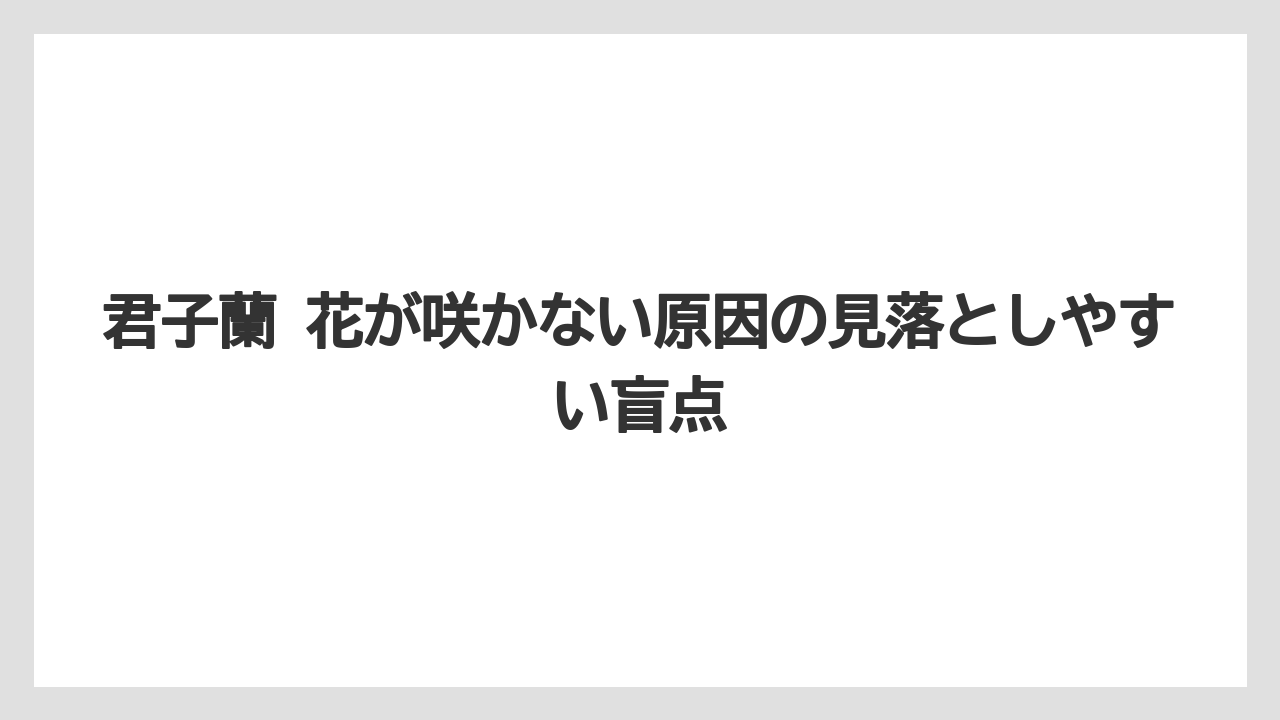 君子蘭 花が咲かない原因の見落としやすい盲点