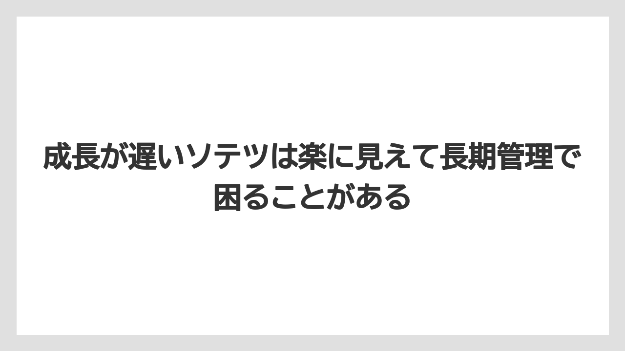 【栽培】【農園】【農業】成長が遅いソテツは楽に見えて長期管理で困ることがある