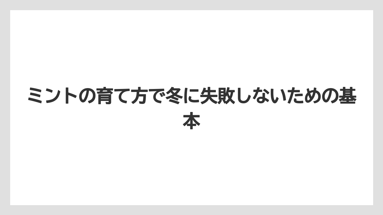 ミントの育て方で冬に失敗しないための基本