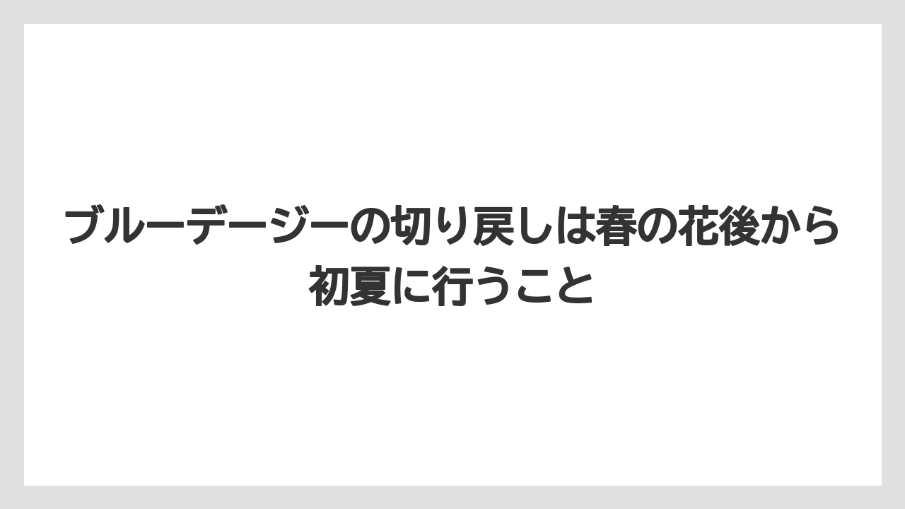 【栽培】【農園】【農業】ブルーデージーの切り戻しは春の花後から初夏に行うこと