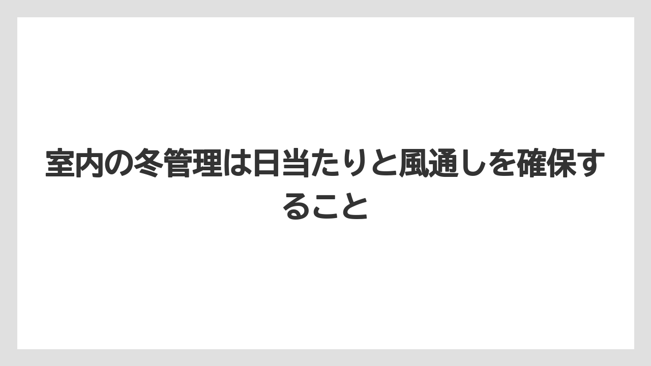 【ミント】【栽培】【農業】室内の冬管理は日当たりと風通しを確保すること
