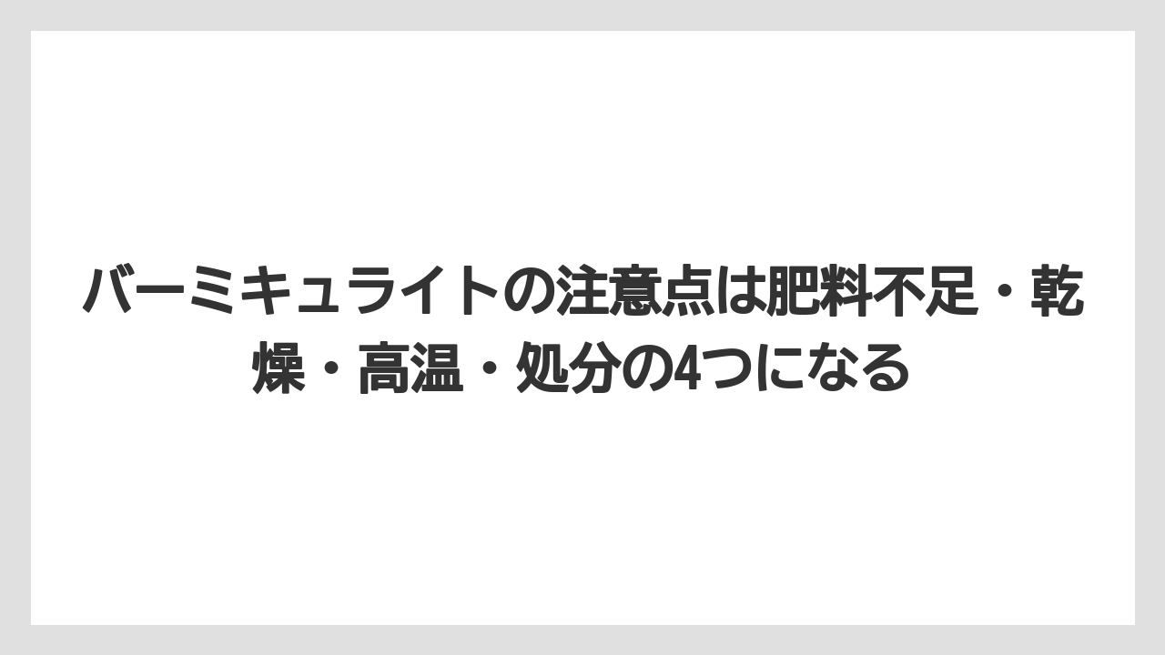 【100均】【しそ】【バーミキュライト】【栽培】【水耕栽培】バーミキュライトの注意点は肥料不足・乾燥・高温・処分の4つになる