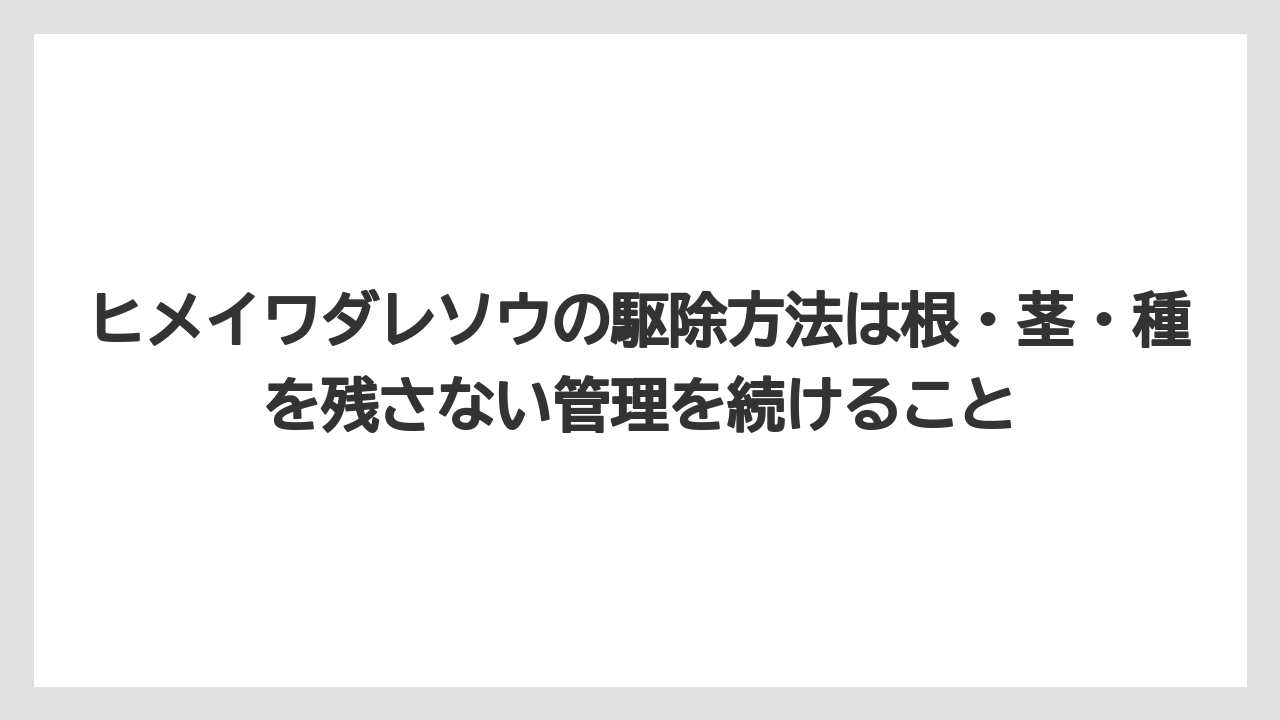 【栽培】【農園】【農業】ヒメイワダレソウの駆除方法は根・茎・種を残さない管理を続けること