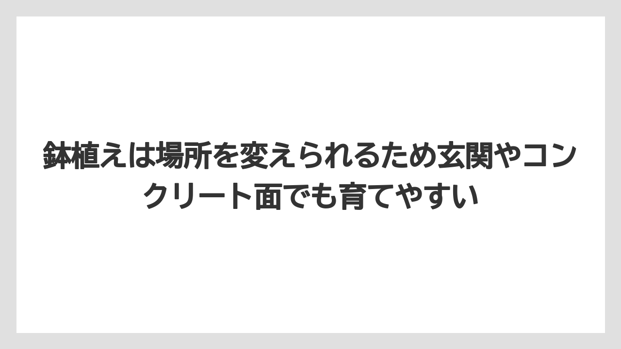 【栽培】【農園】【農業】鉢植えは場所を変えられるため玄関やコンクリート面でも育てやすい