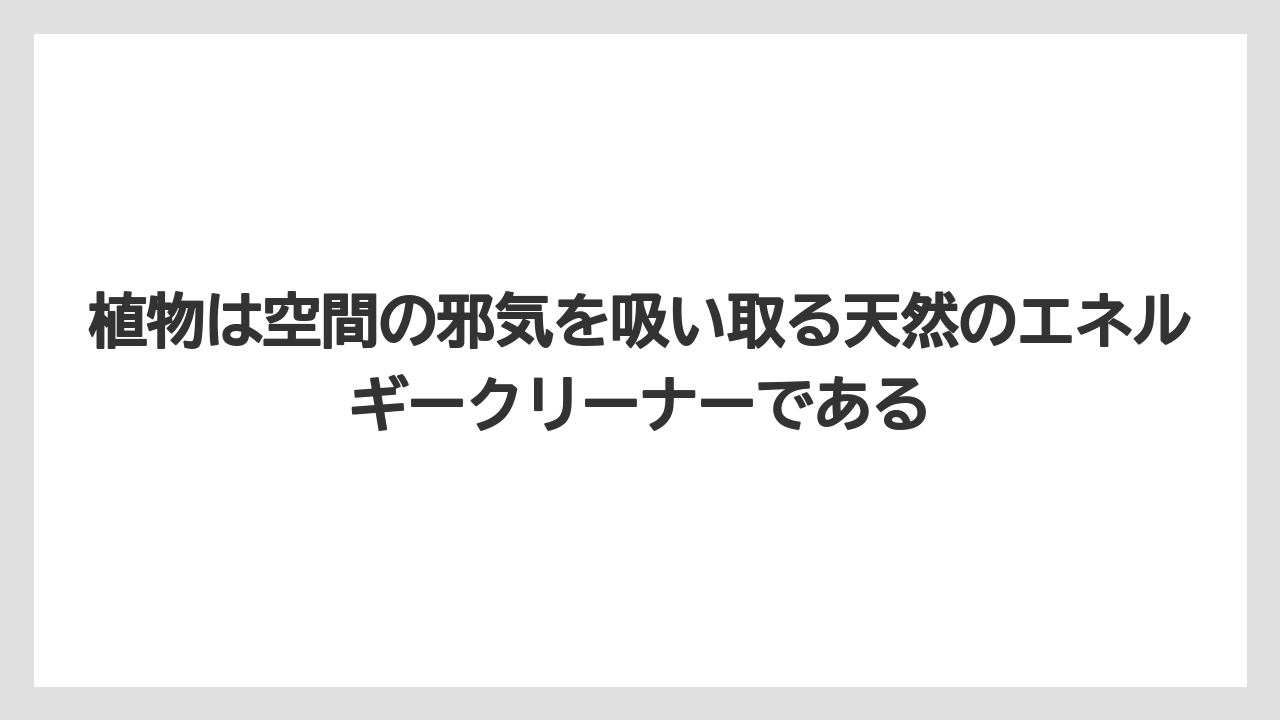 【栽培】【植物】【農業】植物は空間の邪気を吸い取る天然のエネルギークリーナーである