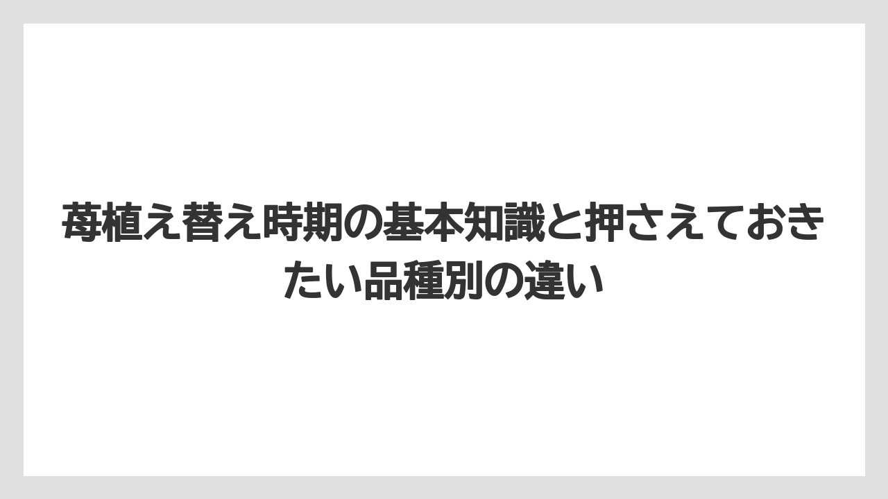 苺植え替え時期の基本知識と押さえておきたい品種別の違い
