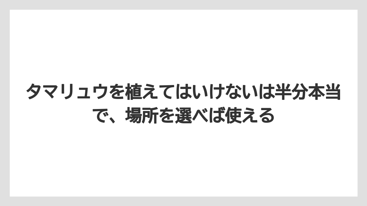 【いけない】【後悔】【栽培】【植え】タマリュウを植えてはいけないは半分本当で、場所を選べば使える