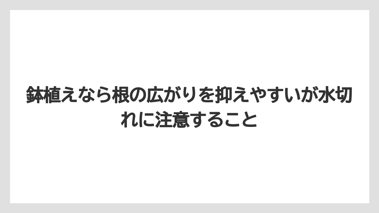 【栽培】【農園】【農業】鉢植えなら根の広がりを抑えやすいが水切れに注意すること