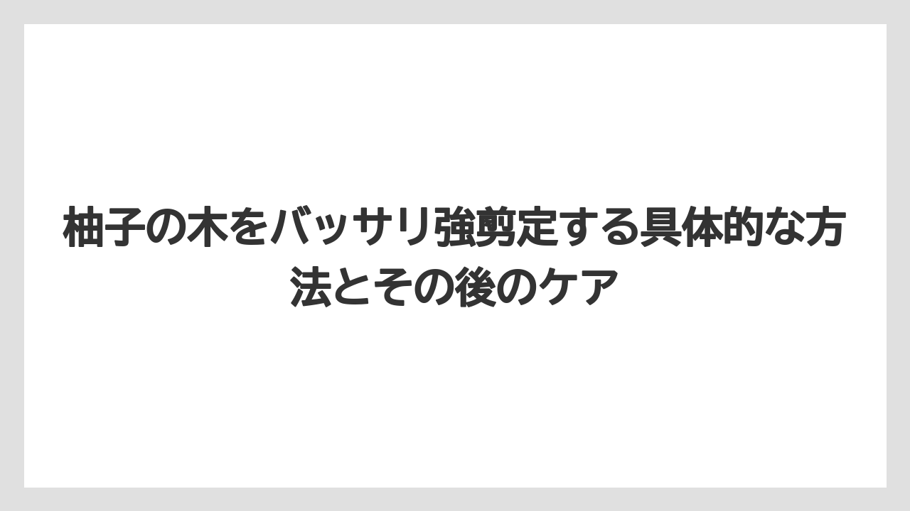 【栽培】【農園】【農業】剪定で切ってはいけない枝はどれ？花芽を守るコツ