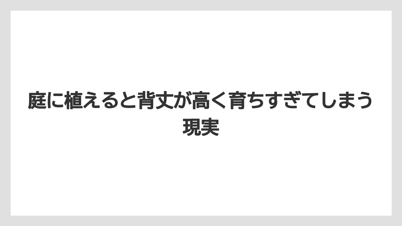 【栽培】【農園】【農業】庭に植えると背丈が高く育ちすぎてしまう現実
