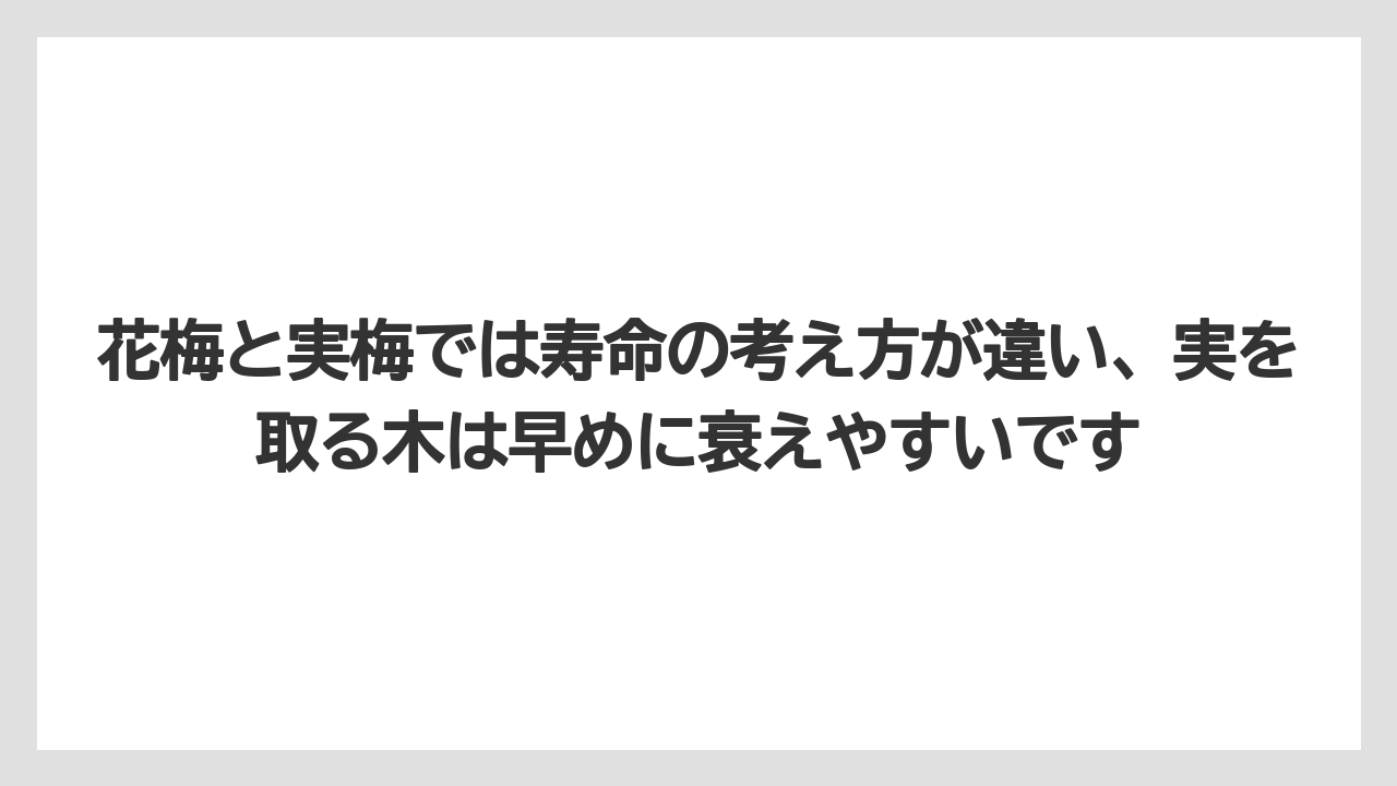 花梅と実梅では寿命の考え方が違い、実を取る木は早めに衰えやすいです