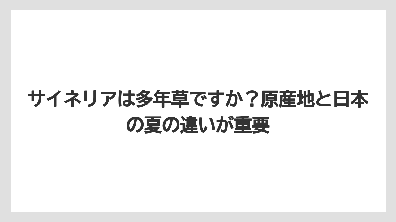 【栽培】【肥料】【農業】サイネリアは多年草ですか？原産地と日本の夏の違いが重要