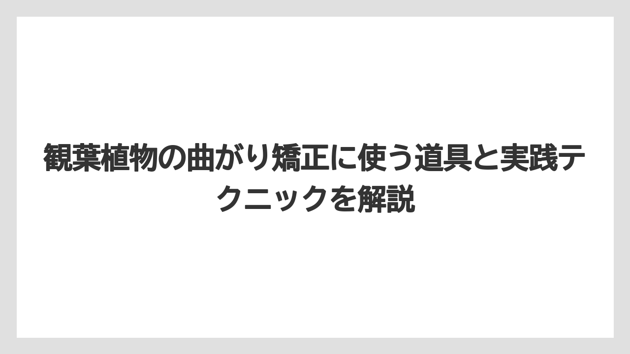 【栽培】【農園】【農業】寝室に観葉植物を置いてもダメではなく、むしろメリットのほうが多い