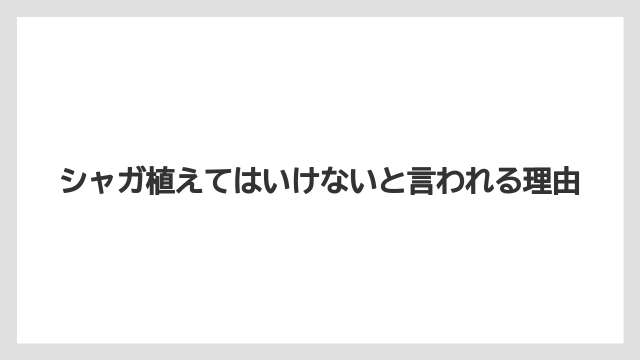 シャガ植えてはいけないと言われる理由