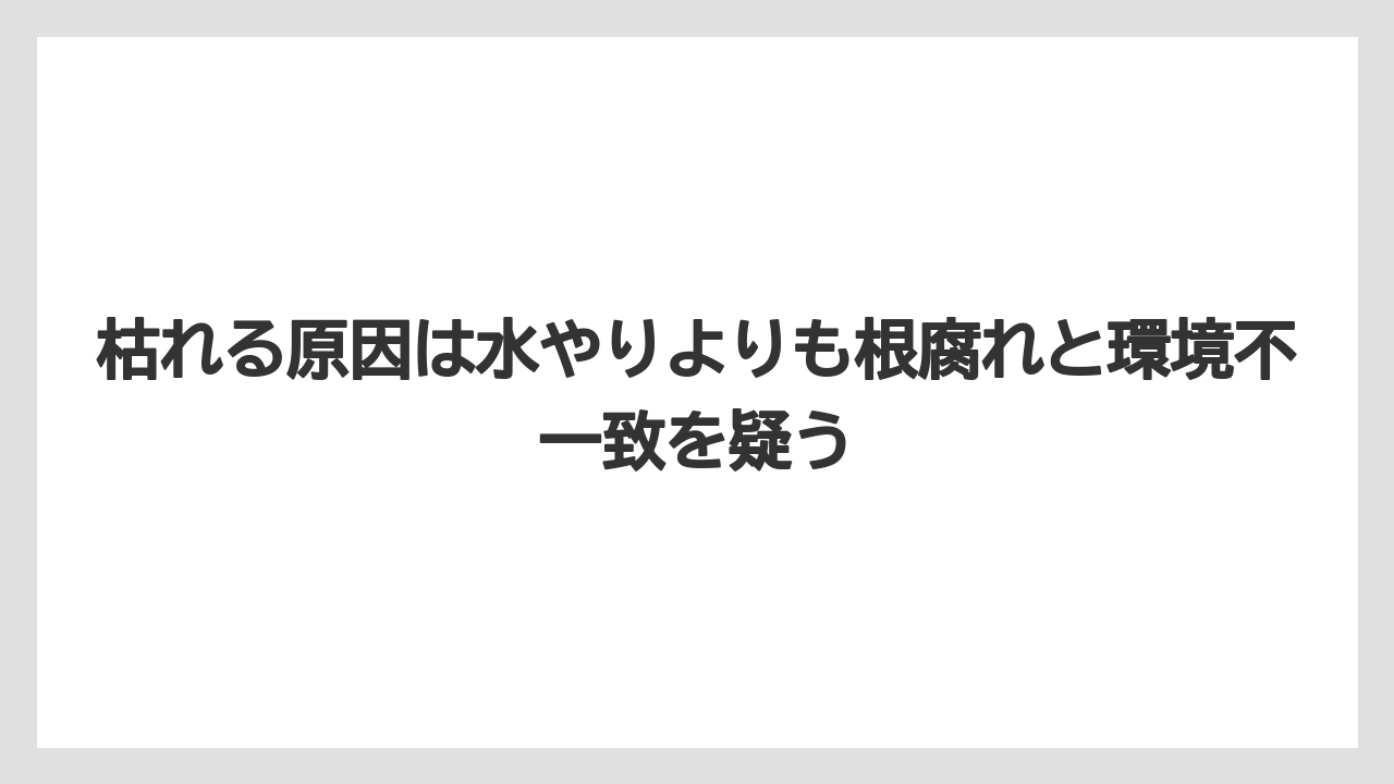 【レモン】【栽培】【農業】枯れる原因は水やりよりも根腐れと環境不一致を疑う