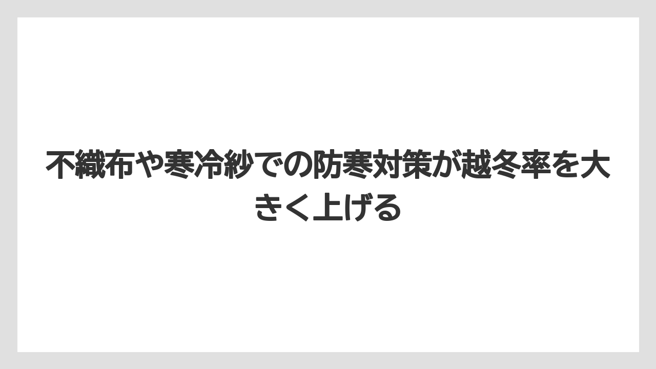 【栽培】【農園】【農業】不織布や寒冷紗での防寒対策が越冬率を大きく上げる