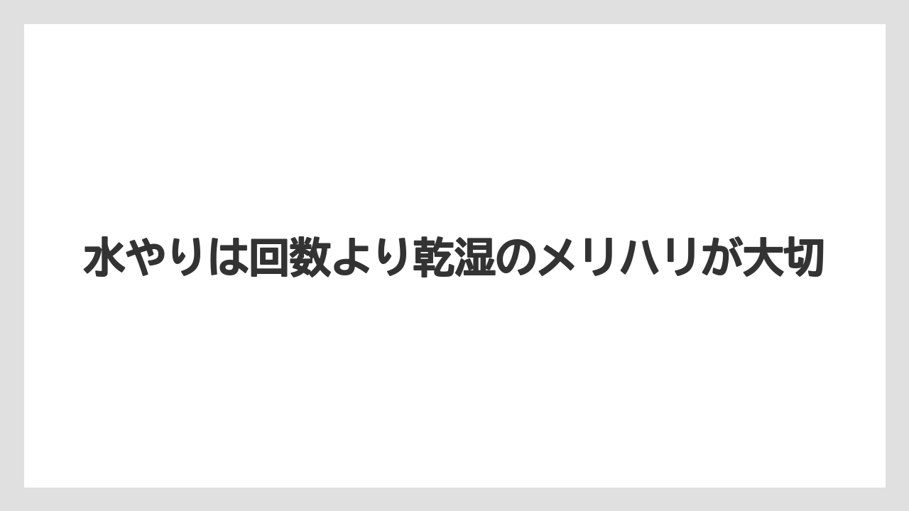 【栽培】【花】【葉】水やりは回数より乾湿のメリハリが大切
