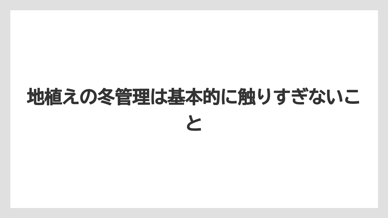 【栽培】【肥料】【農業】地植えの冬管理は基本的に触りすぎないこと