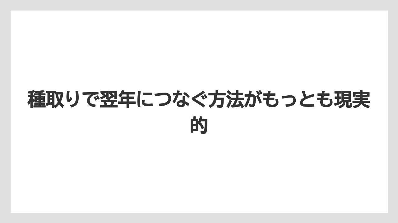 【栽培】【草】【越し】種取りで翌年につなぐ方法がもっとも現実的