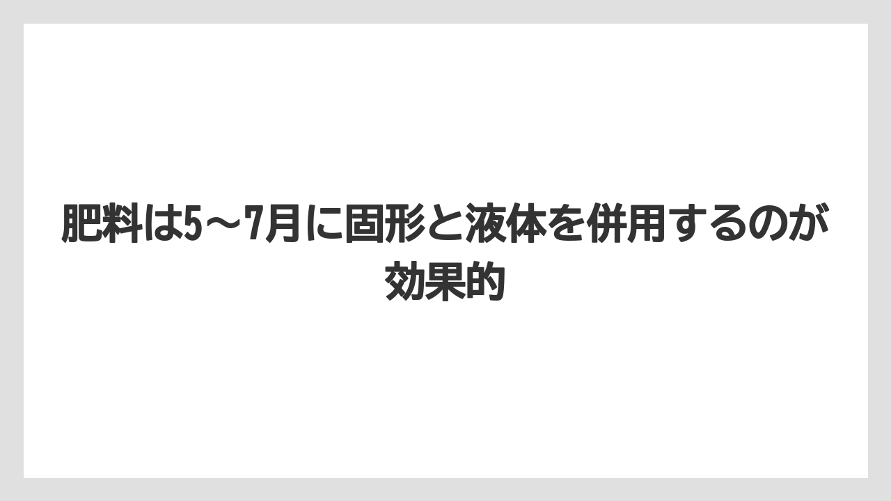 【サボテン】【栽培】【花】肥料は5〜7月に固形と液体を併用するのが効果的
