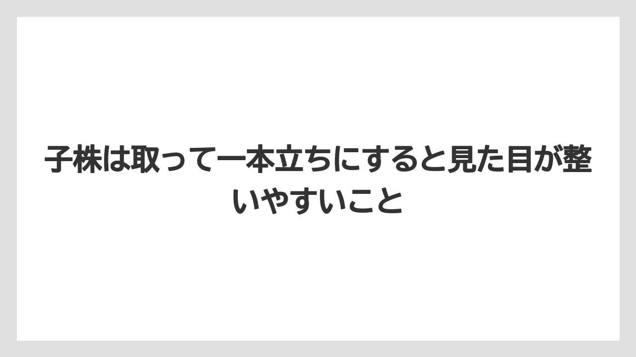 【栽培】【農園】【農業】子株は取って一本立ちにすると見た目が整いやすいこと