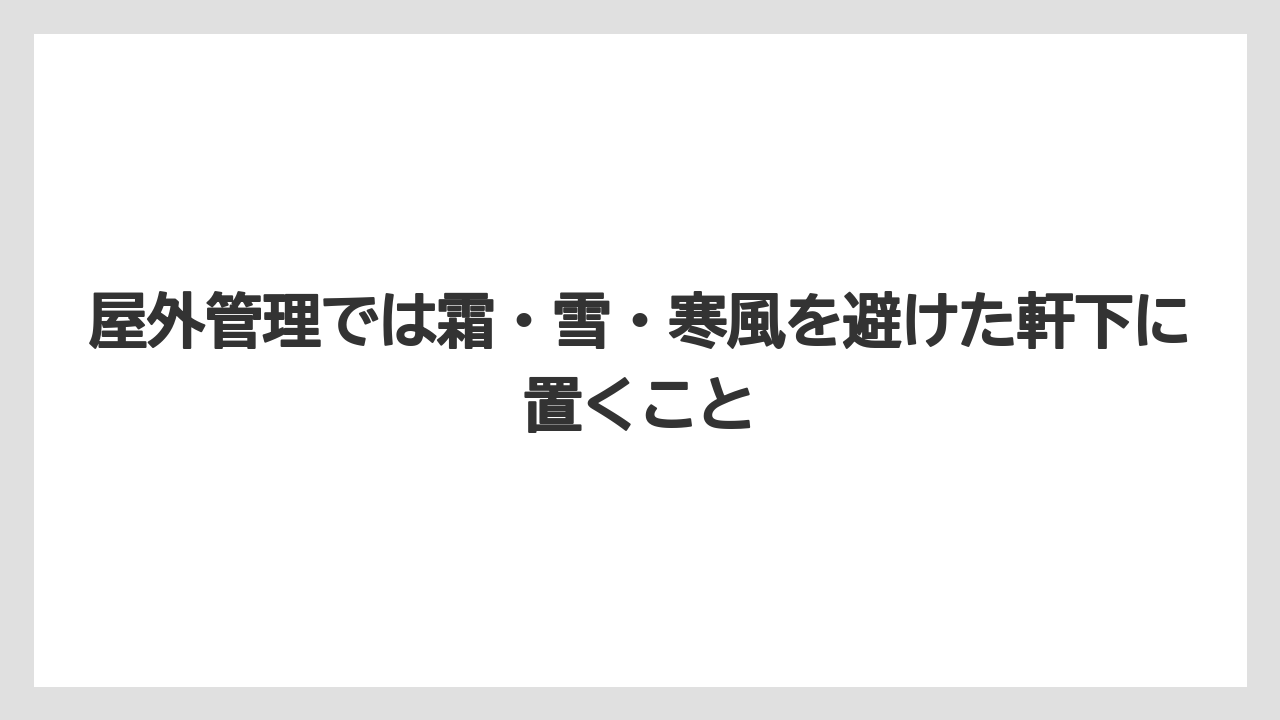 【栽培】【農園】【農業】屋外管理では霜・雪・寒風を避けた軒下に置くこと