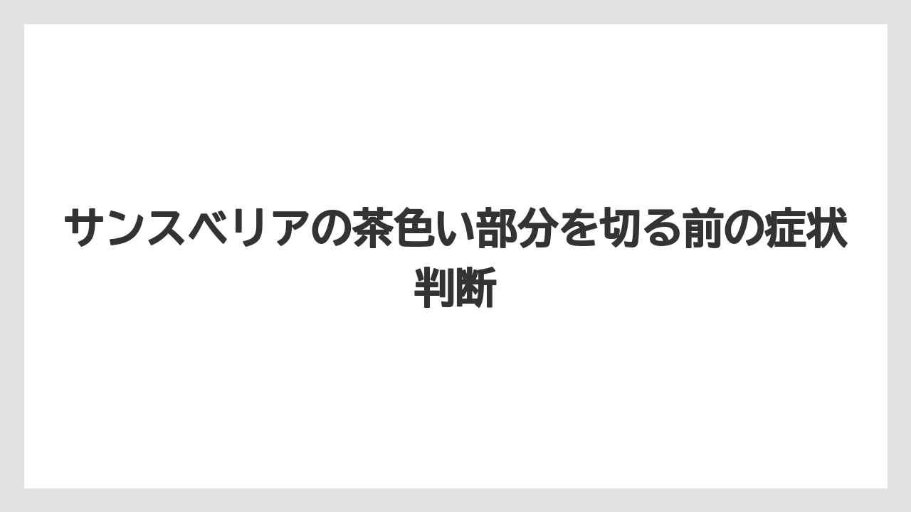 サンスベリアの茶色い部分を切る前の症状判断