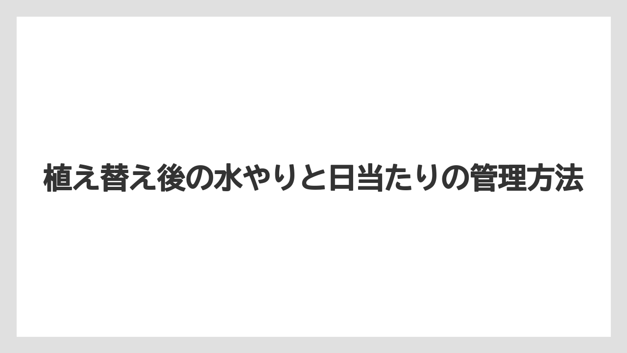 【栽培】【農園】【農業】植え替え後の水やりと日当たりの管理方法