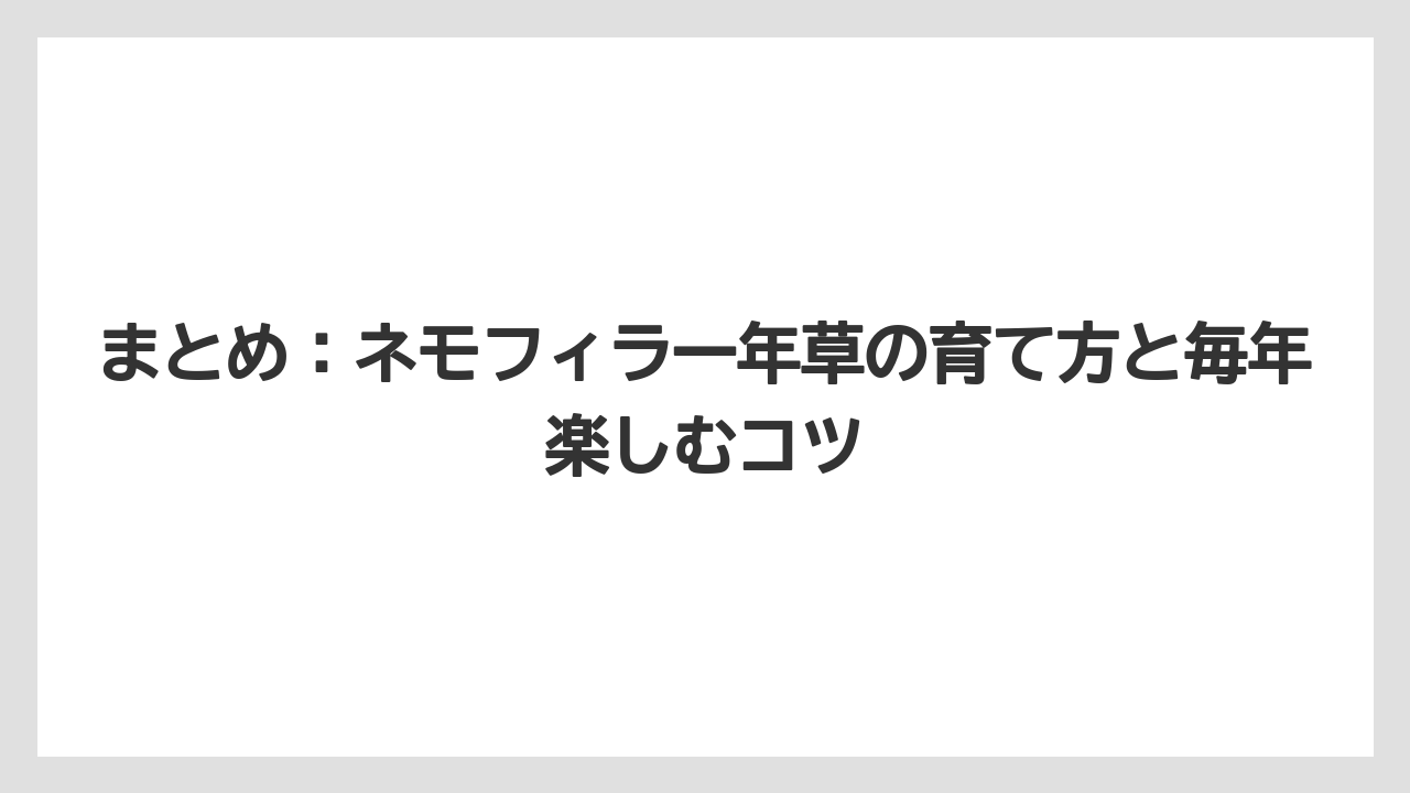 【栽培】【育て方】【草】まとめ：ネモフィラ一年草の育て方と毎年楽しむコツ