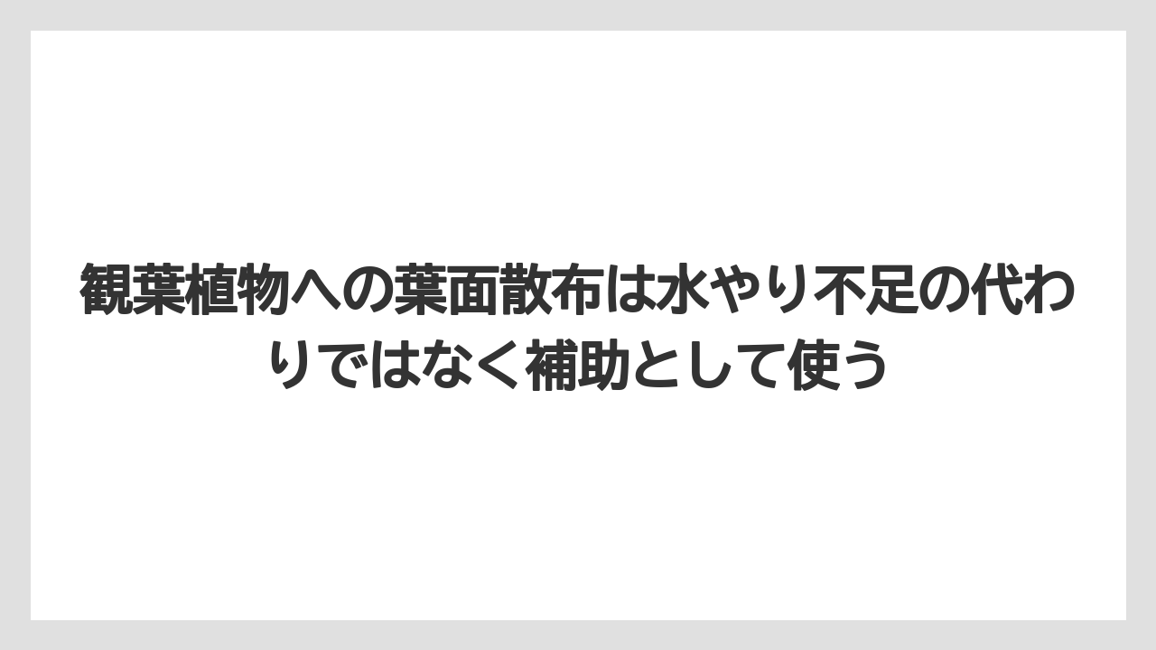【リキダス】【栽培】【農業】観葉植物への葉面散布は水やり不足の代わりではなく補助として使う