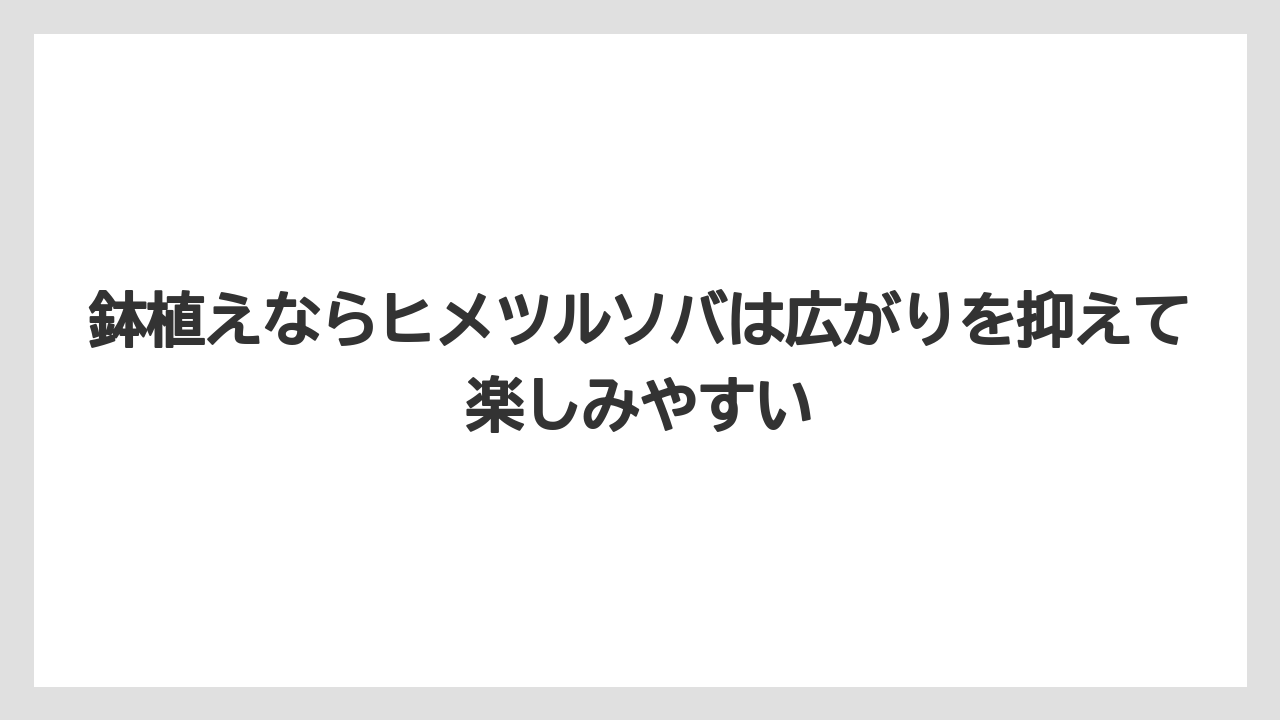 【いけない】【後悔】【栽培】【植え】鉢植えならヒメツルソバは広がりを抑えて楽しみやすい